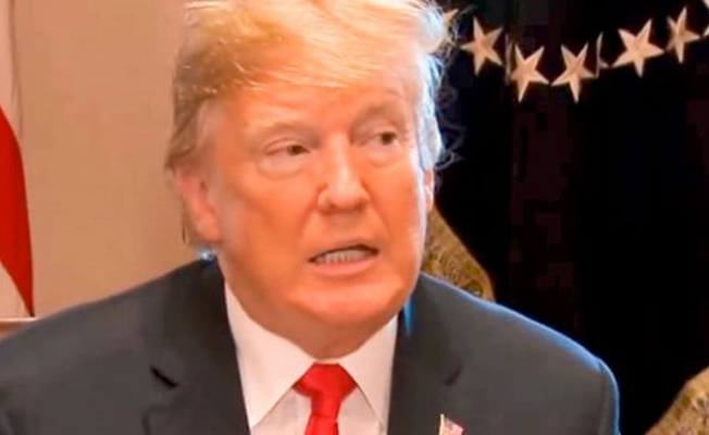 Trump çok tartışılan kararda geri adım attı