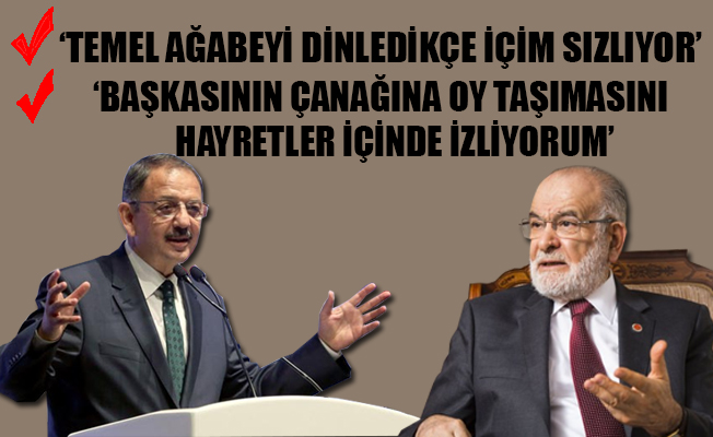 Bakan Özhaseki: Temel Ağabeyi anlamıyorum
