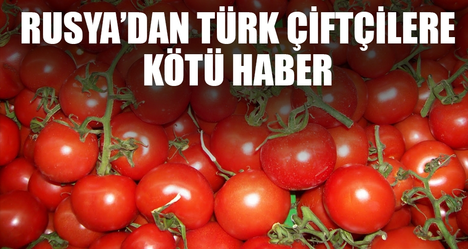 Rusya: Türkiye'nin domatesler için 2-3 yıl beklemesi gerekecek