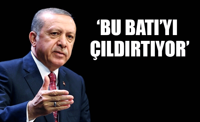 Erdoğan: Bu çılgın 'Türkler ne yapıyor' diye daha çok şaşıracaklar