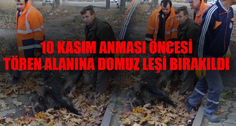 10 Kasım anması öncesi tören alanına domuz leşi bırakıldı!