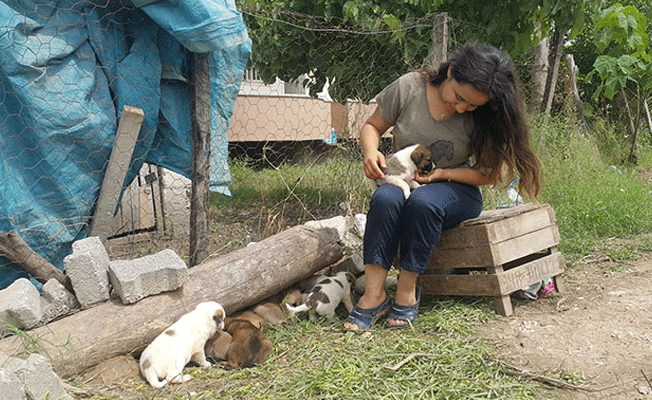 Sinem, boğulmaktan kurtardığı 10 yavru köpeğe sahiplendi