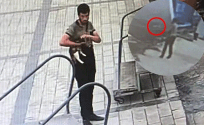 Kediyi önce sevdi sonra denize attı