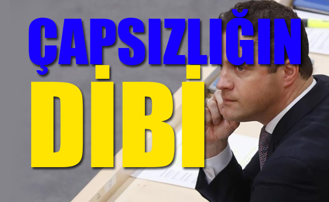 Avusturyalı vekilden küstah 24 Haziran açıklaması