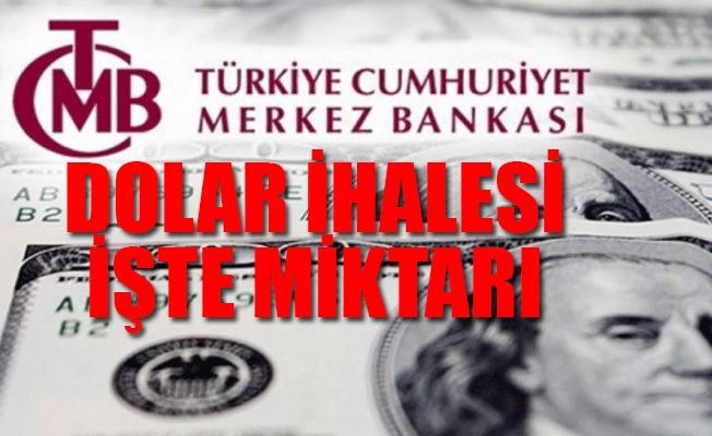 Merkez Bankası dolar satacak