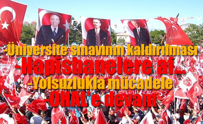 MHP'nin vaadleri...