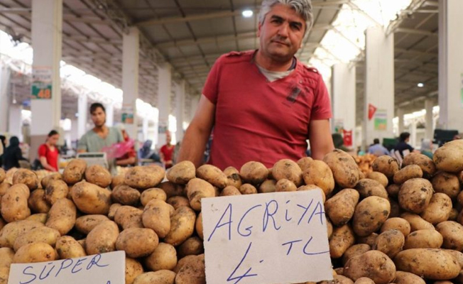 Türkiye neden Suriye’den patates alıyor?