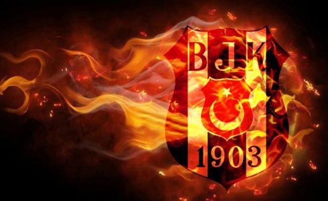 Şenol Güneş'in yardımcısı belli oldu