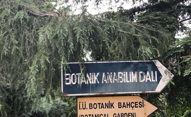 Ata yadigarı botanik bahçeye tahliye şoku!