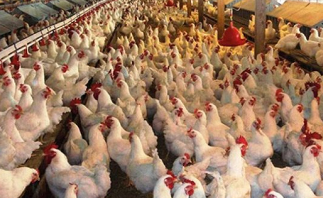 Dev firma ortak arıyor: Üreticiyi de vurdu