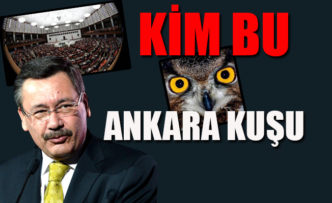 Bomba iddia! O hesap AKP'li Yazıcı'nın eşine mi ait?