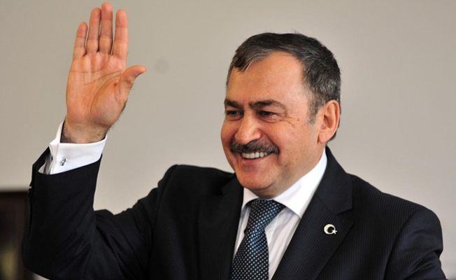 Bakan Eroğlu: Bu yıl sadece 599 yangın çıktı
