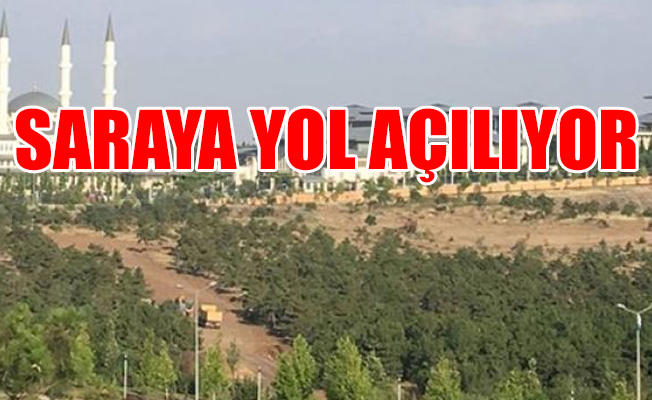 Atatürk Orman Çiftliği'nde yine ağaç katliamı
