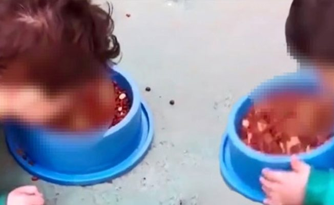 Oğluna yerden köpek maması yedirdi