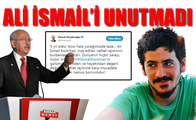 'Nefret rejimine karşı mücadele etmek benim namus borcumdur'