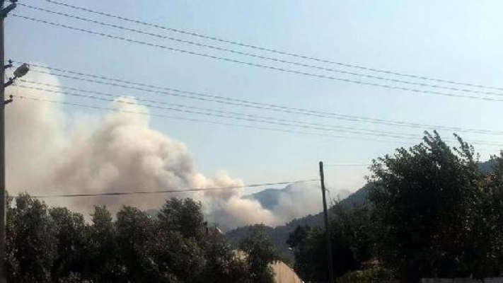 Büyük yangın...Muğla yanıyor