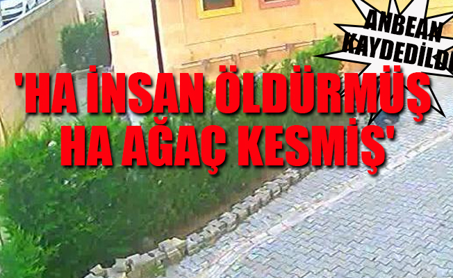 Cemaat namazı bitirmeden ağaçları kesip götürdüler