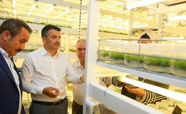 Bakan Pakdemirli: Devletin çok münbit toprakları var, bunları kiralamaya açmak istiyoruz