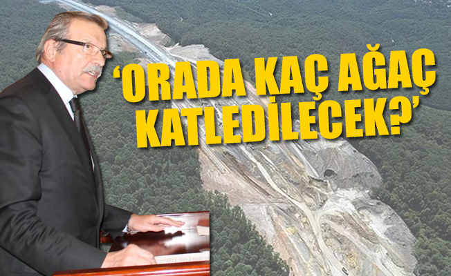 Kuzey Ormanları’na film platosu... CHP yargıya gidiyor