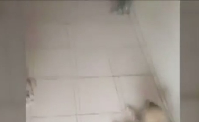 CHP'li vekilden suç duyurusu