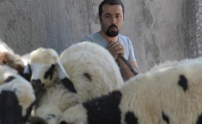 Bedelli askerlik için hayvanlarını satışa çıkardı