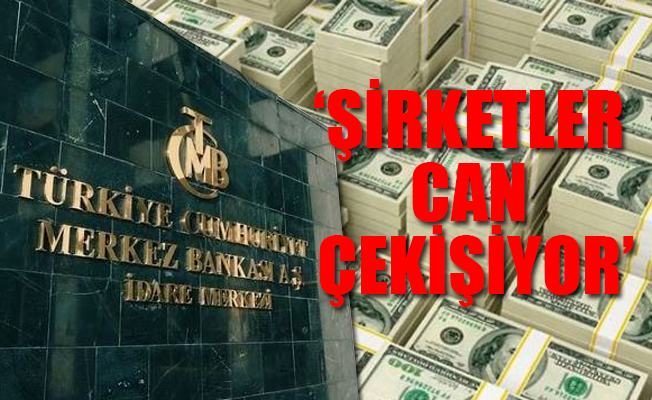 Muharrem İnce'den; Merkez Bankası, faiz, 'damat' eleştirisi