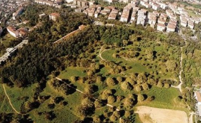 Hangi illerde 'Millet Bahçesi' yapılacağı belli oldu