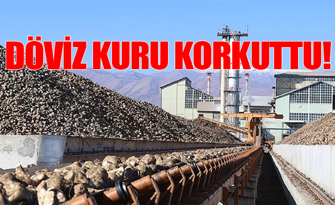 Şekerin patronları neden fabrikaları devretmedi?
