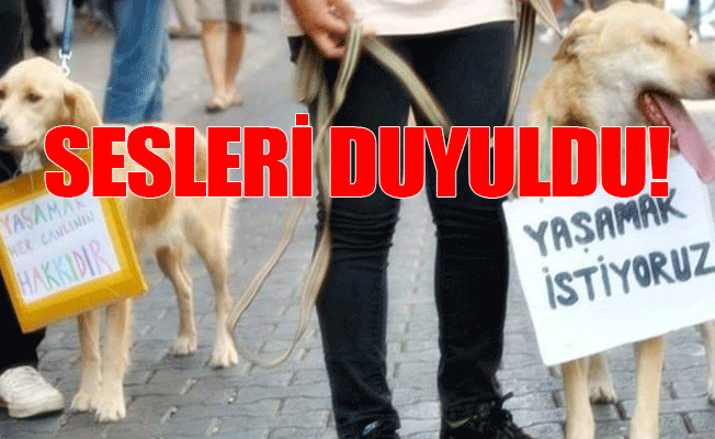 Katledilip, şiddet görüyorlardı, sonunda sesleri duyuldu
