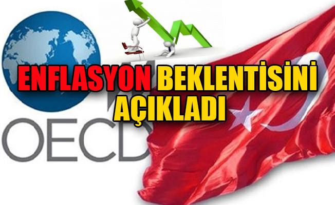 OECD'den Türkiye'ye ekonomik tavsiyeler!