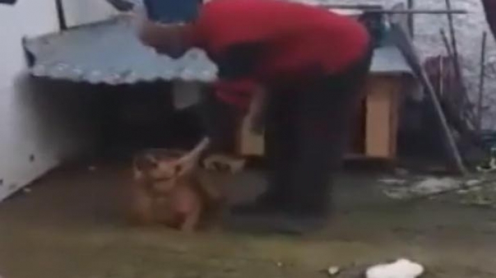 Sosyal medya ayağa kalktı: Bulana ödül var