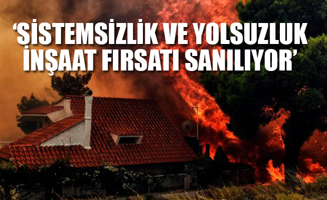 Yunan hukukçu yangını yazdı: 88 kişiyi imar barışı, rant ve yolsuzluk öldürdü!