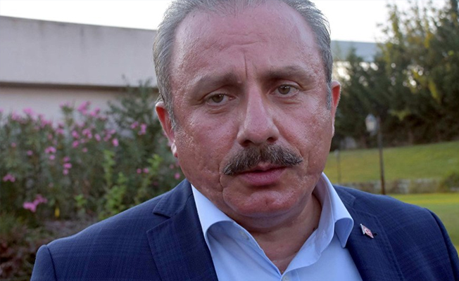 AKP'li Şentop'tan ilginç yorum: Tren kazası önergesi acıları istismar etmektir