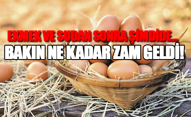 En yüksek fiyat artışı yumurtada görüldü