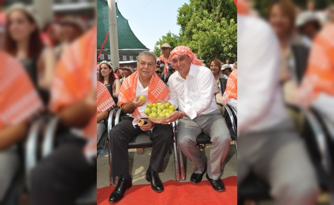 Haydi bardacık festivaline