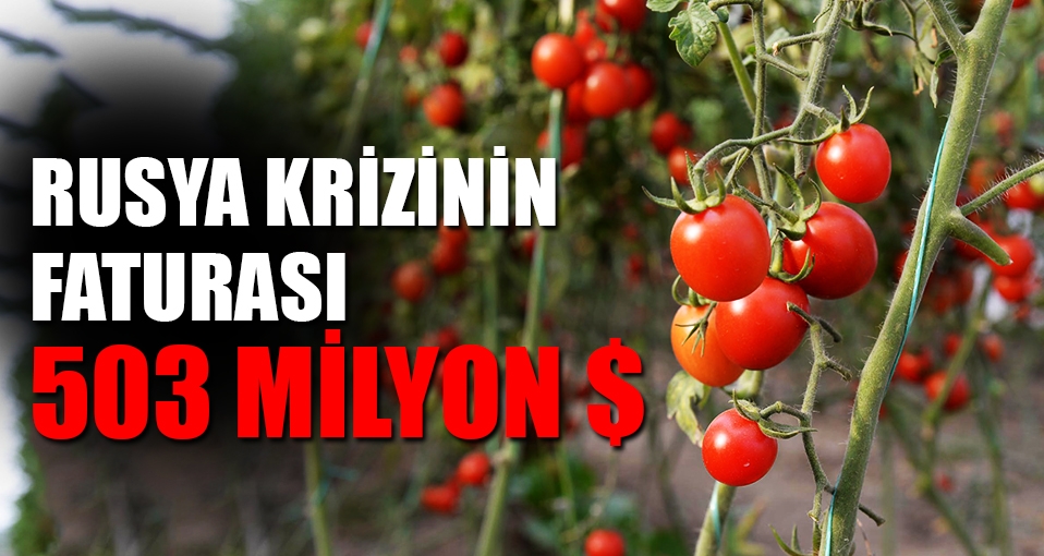 Meyve sebzede Rusya krizinin faturası; 503 milyon dolar