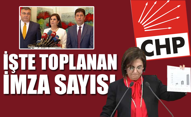 CHP'li Gaye Usluer imza sayısını açıkladı