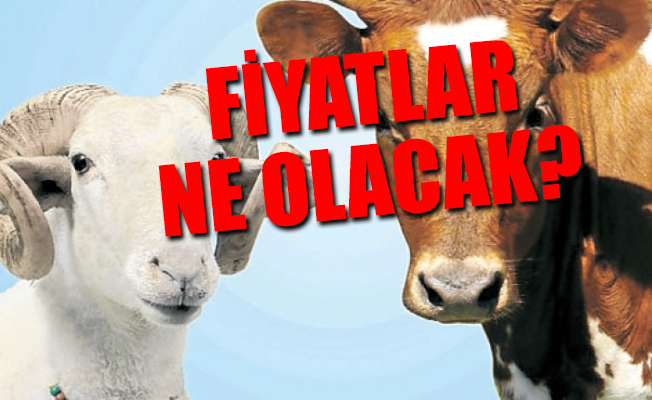 Diyanet, bu yılın kurbanlık fiyatlarını açıkladı