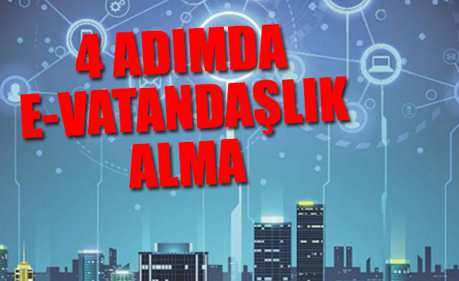 Türkler 'bulut vatandaşlık'la Estonya'da şirket kuruyor