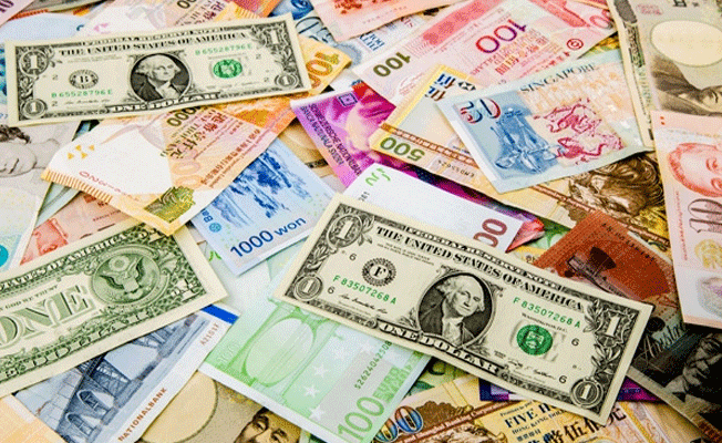 Türkiye'de milyonerler yatırımı dövize yaptı