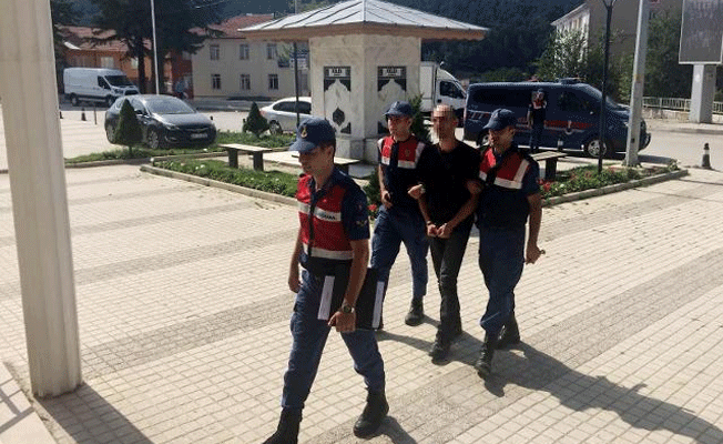 Müzik öğretmeni kenevir sularken yakalandı