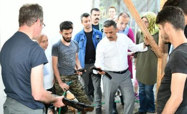 3 bin yıllık fındık kabuğu