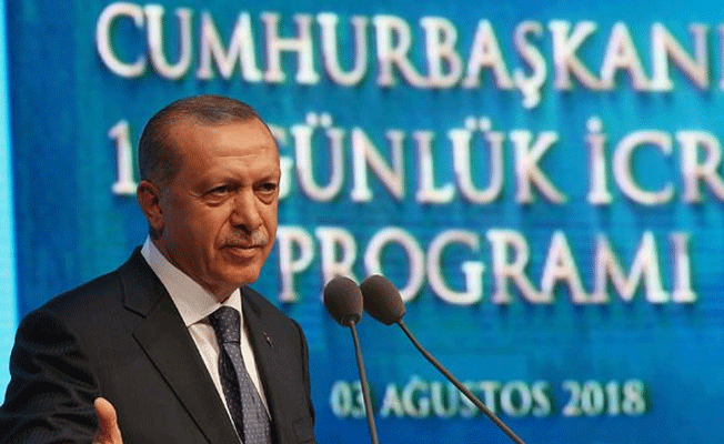 Erdoğan'ın eylem planının arka yüzü