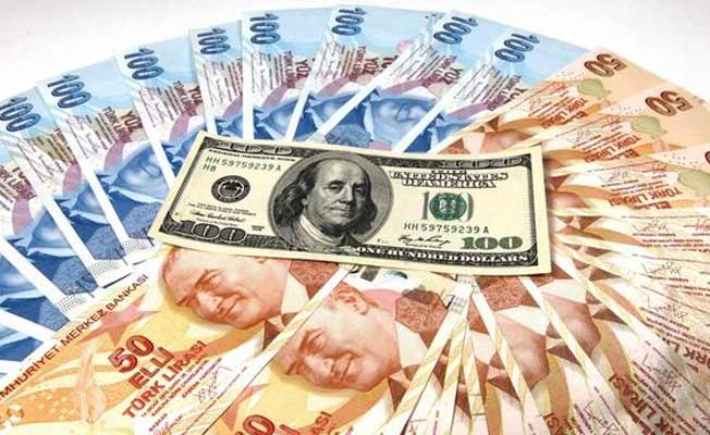 'Dolar artmadı TL’nin gramajı azaldı!'