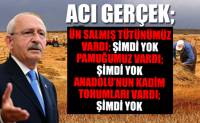 Tarım ve ekonomi açıklaması