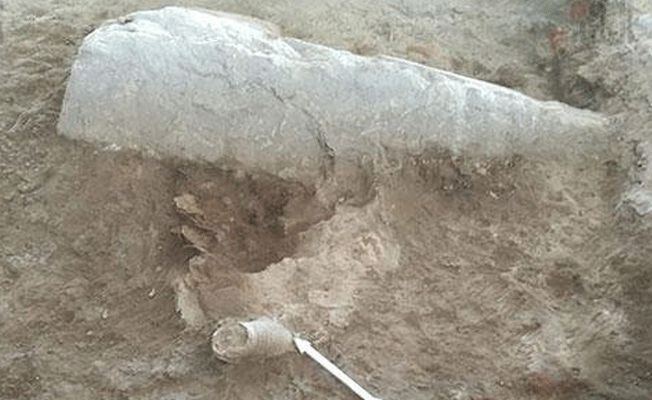 Mısır’da Sfenks sürprizi… Yer altından çıktı!