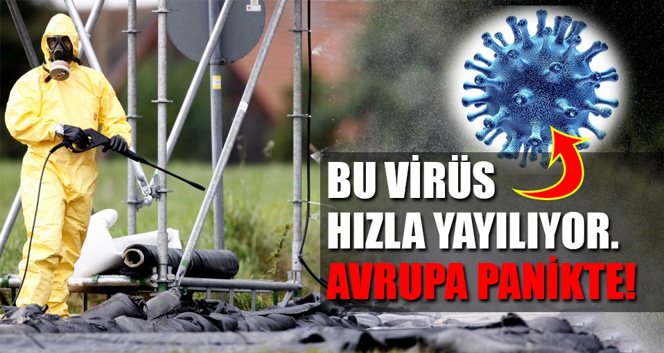 Fransa'da kuş gribi alarmı