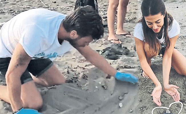 Kıvanç Tatlıtuğ ve Başak Dizer 64 yavru kaplumbağayı kurtardı