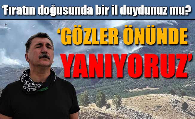 Ferhat Tunç isyan etti! 'Bir yaşam yok ediliyor'