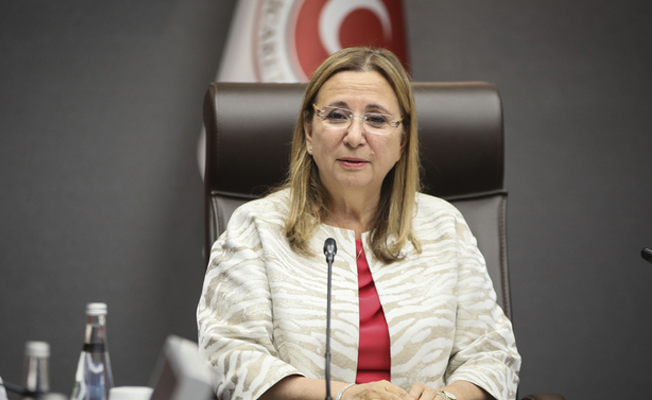 Ticaret Bakanı Pekcan: ABD’ye dava sürecini başlattık